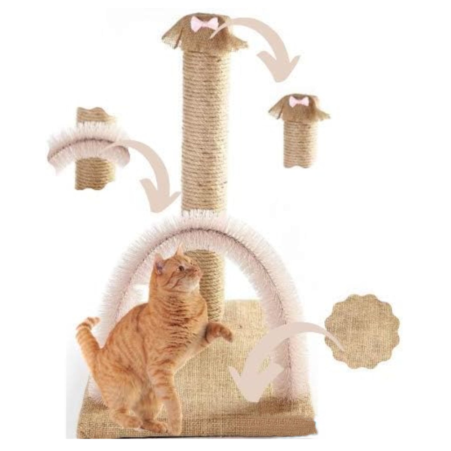 BYPET Katzen Juckreiz- und Kratzbrett