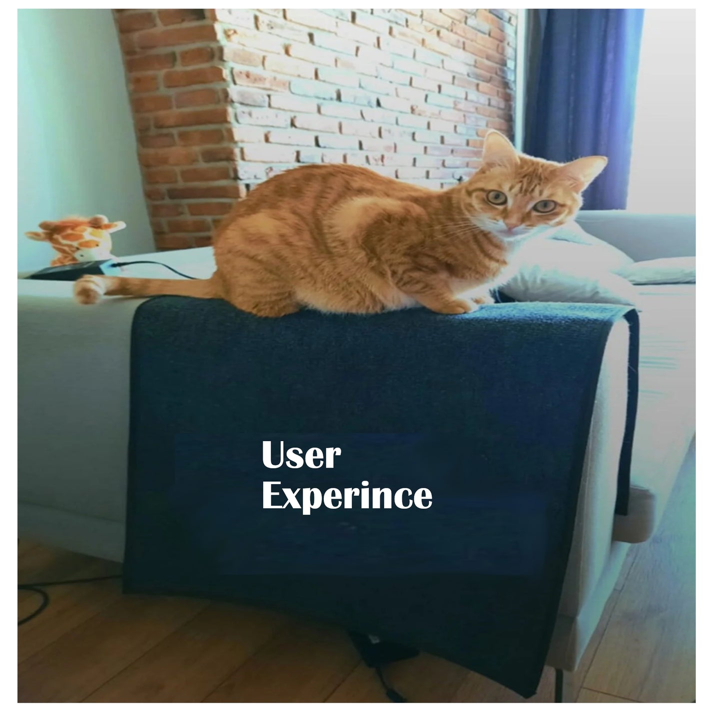 BYPET Sofaschutzmatte Sofaschutzteppich Kratzmatte für Katzen