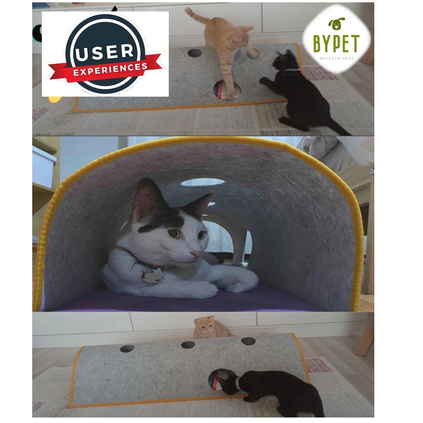 BYPET Tunnel für Katzen, Katzentunnel für Spielen/ Schlafen im Innenbereich