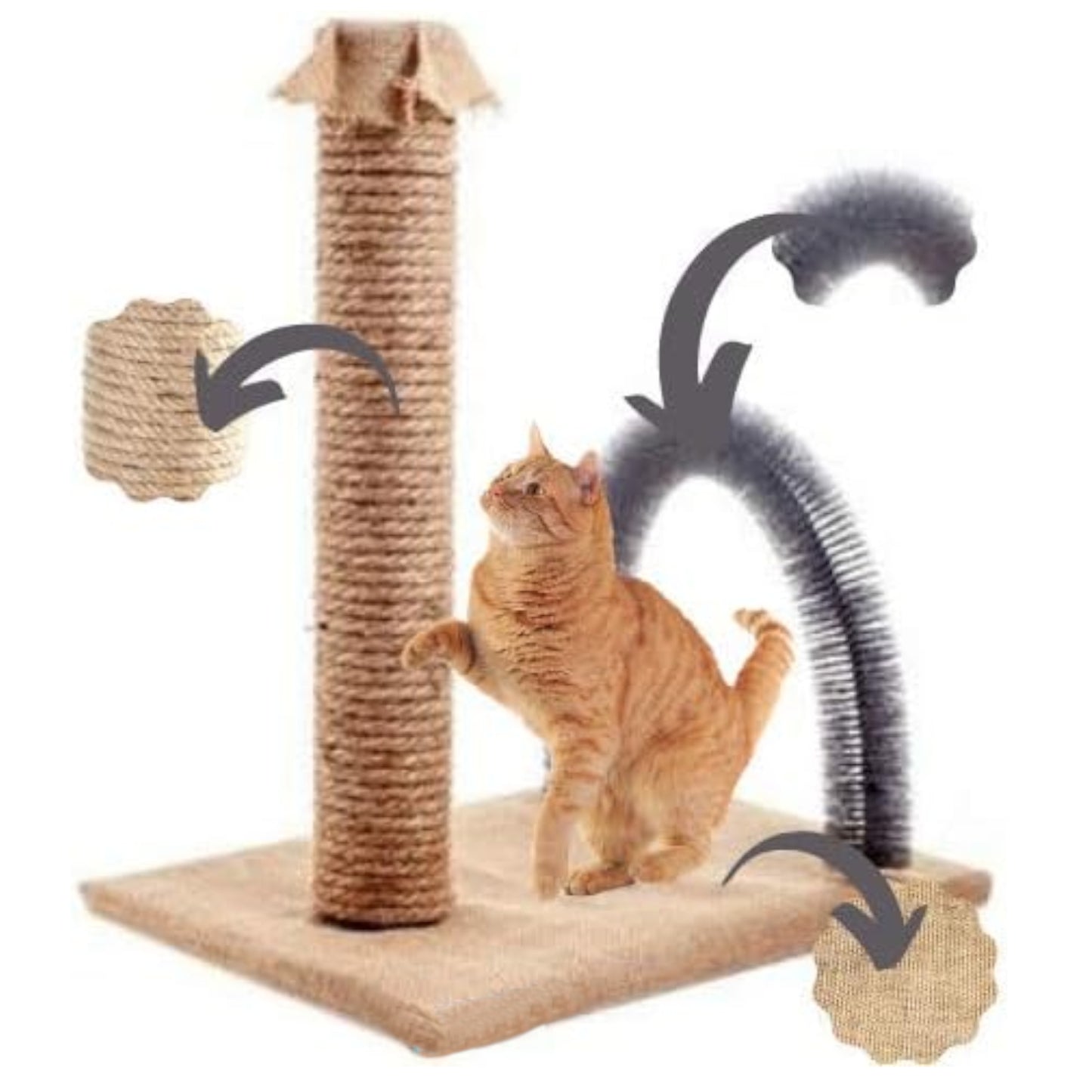 BYPET Katzen Juckreiz- und Kratzbrett
