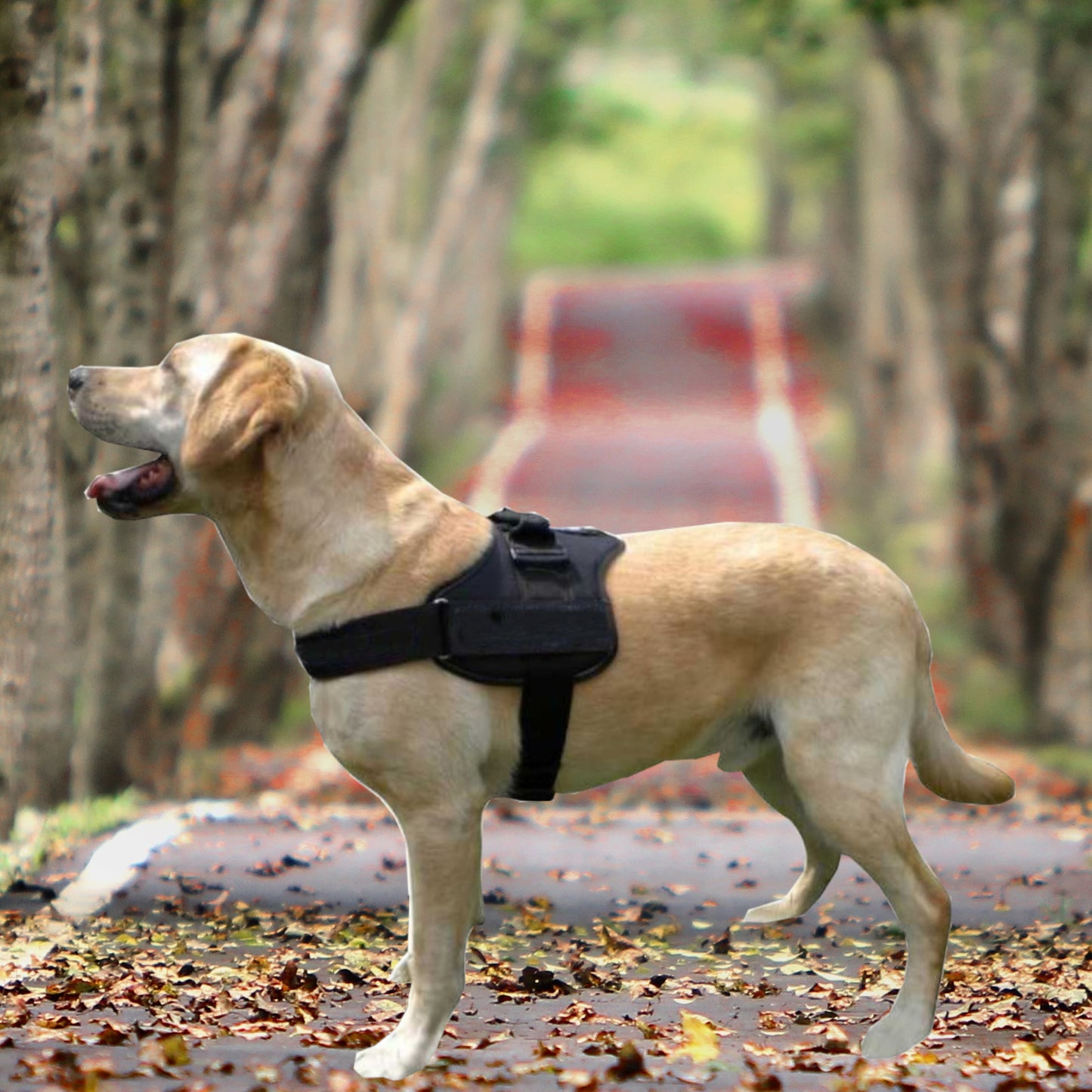 K9 Hundegeschirr für Große Hunde (Schwarz, XL)