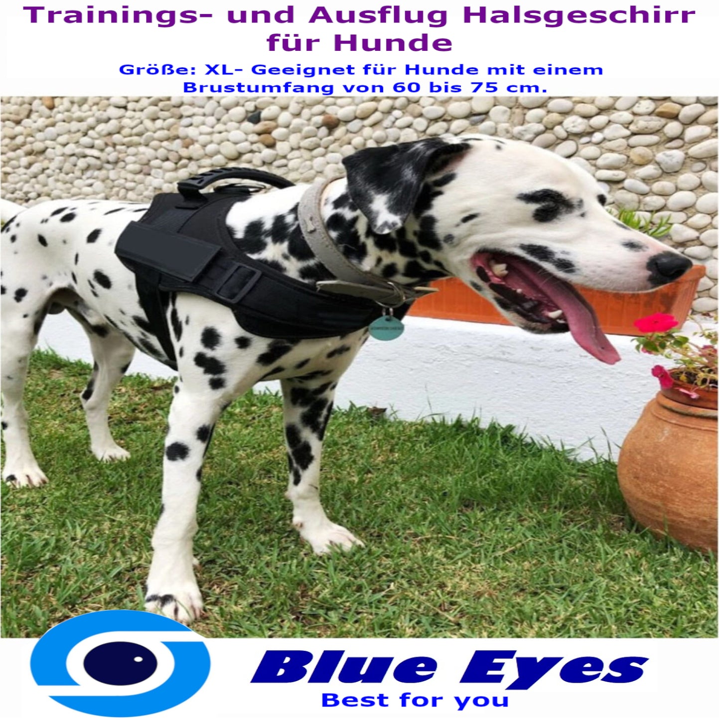 K9 Hundegeschirr für Große Hunde (Schwarz, XL)