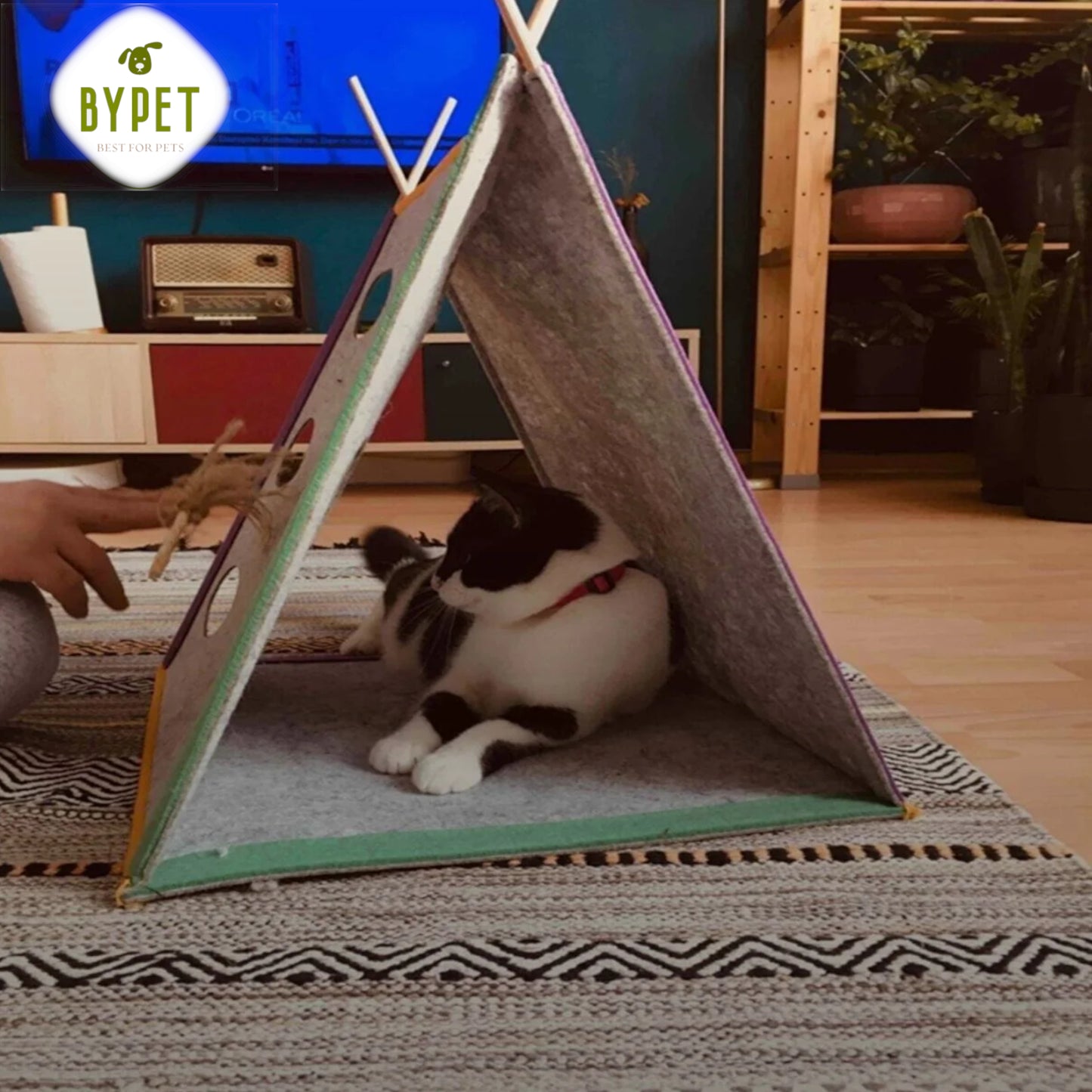 BYPET Katzen- und Hunde-Zelt für Spielen und Verstecken, Schlafplatz